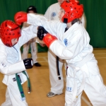 Sparring Practice