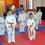 Coloured Belt Grading - August 2014