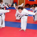 Coloured Belt Grading - August 2014