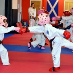 Coloured Belt Grading - August 2014