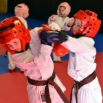 Coloured Belt Grading - August 2014