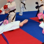 Coloured Belt Grading - August 2014