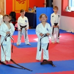 Coloured Belt Grading - August 2014