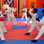 Coloured Belt Grading - August 2014