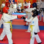 Coloured Belt Grading - August 2014