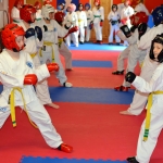 Coloured Belt Grading - August 2014