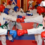 Coloured Belt Grading - August 2014