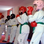 Coloured Belt Grading - August 2014