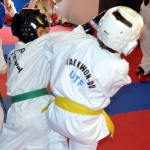 Coloured Belt Grading - August 2014