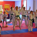 Coloured Belt Grading - August 2014