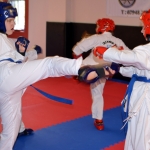 Coloured Belt Grading - August 2014