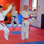 Coloured Belt Grading - August 2014