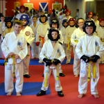 Coloured Belt Grading - March 2014