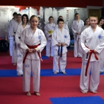 Coloured Belt Grading - March 2014