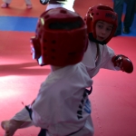 Coloured Belt Grading - March 2014