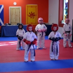 Coloured Belt Grading - March 2014