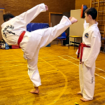 Inverkeithing Class Showing New Pads