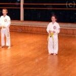 Intrepid Coloured Belt Grading Results