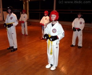 Intrepid Coloured Belt Grading Results