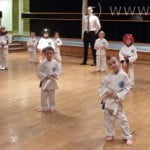 Intrepid Coloured Belt Gradings