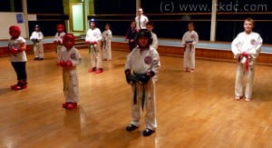 Intrepid Coloured Belt Gradings