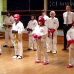 Intrepid Coloured Belt Gradings