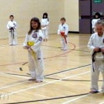 Intrepid Coloured Belt Gradings