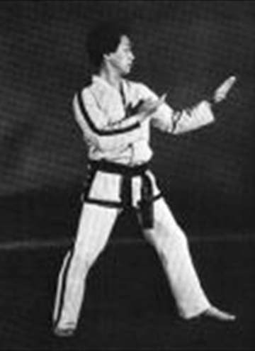 Pattern: Hwa-Rang Tul | Intrepid Taekwondo